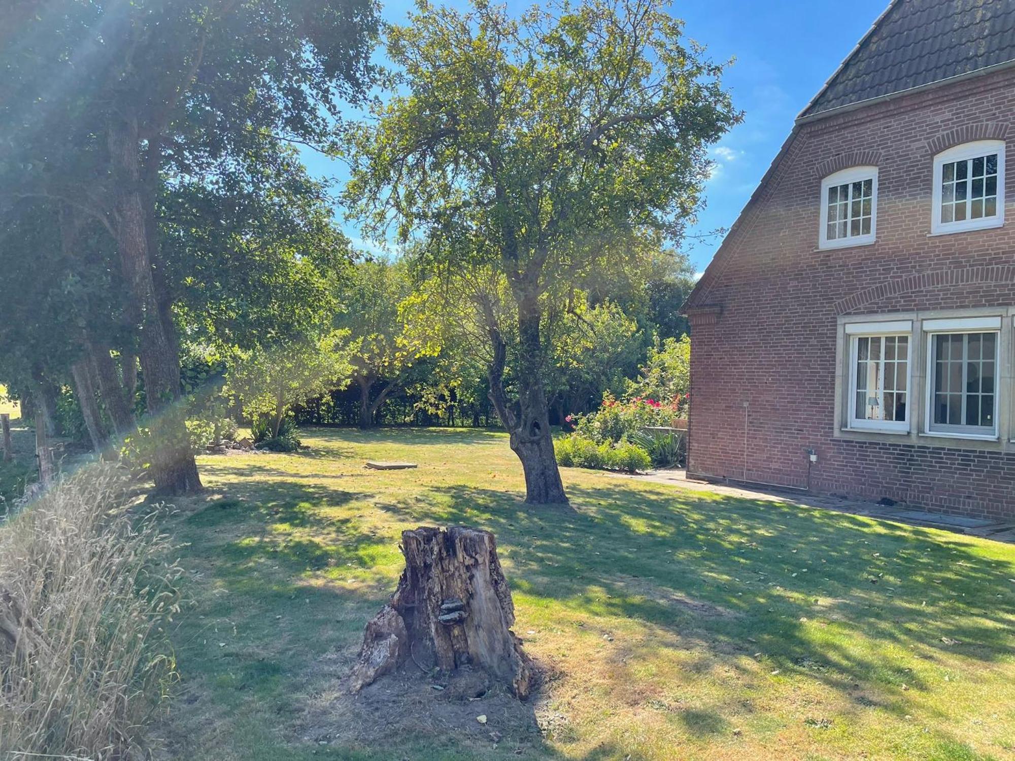 Pension Nordwind Hedwigenkoog Exterior foto